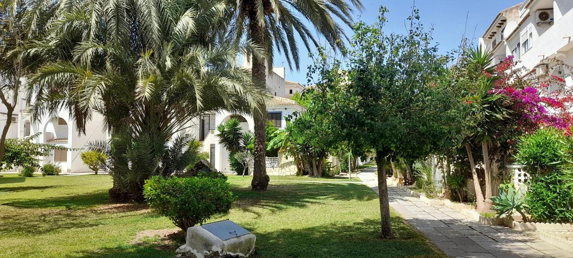 Apartment Los Locos Beach With Balcony And Wi-Fi Torrevieja Exterior photo